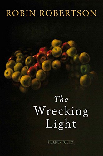 cover image The Wrecking Light