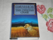 The Cheetah Chase