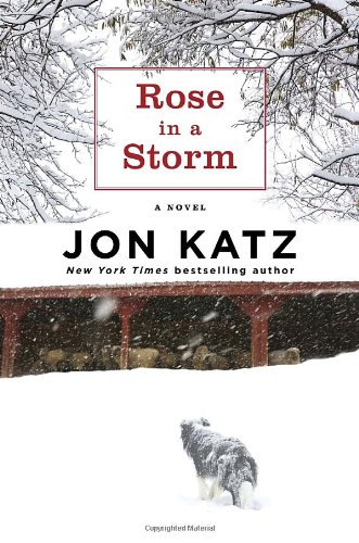 cover image Rose in a Storm