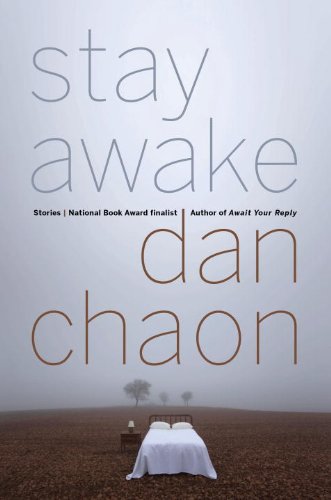 cover image Stay Awake