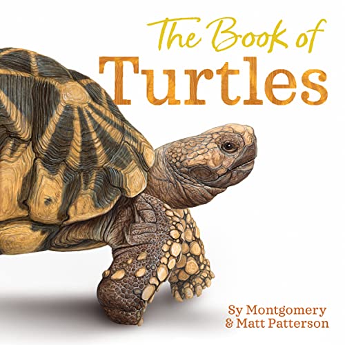 cover image The Book of Turtles