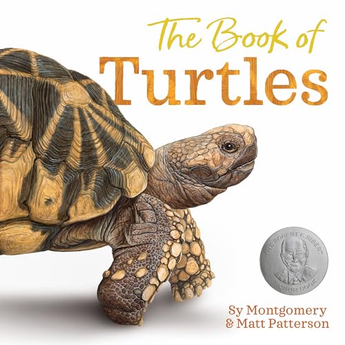 cover image The Book of Turtles