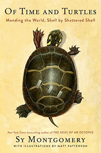 cover image Of Time and Turtles: Mending the World, Shell by Shattered Shell