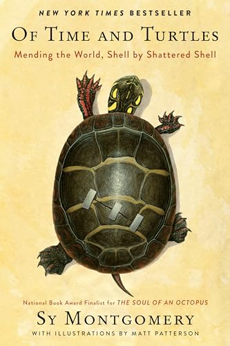 cover image Of Time and Turtles: Mending the World, Shell by Shattered Shell