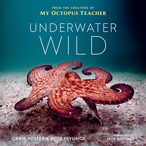 cover image Underwater Wild: My Octopus Teacher’s Extraordinary World