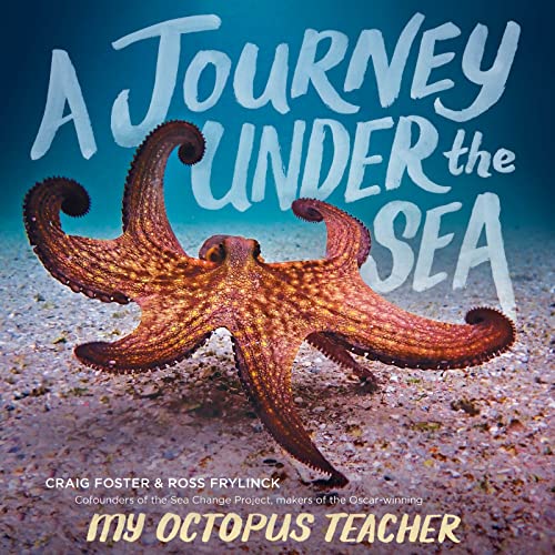 cover image A Journey Under the Sea