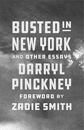 cover image Busted in New York and Other Essays 