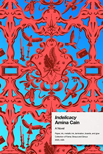 cover image Indelicacy