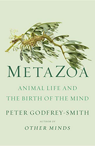cover image Metazoa: Animal Life and the Birth of Mind
