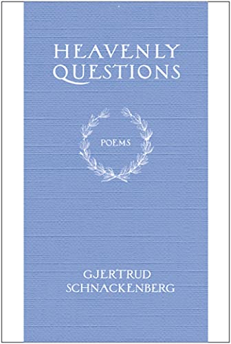 cover image Heavenly Questions