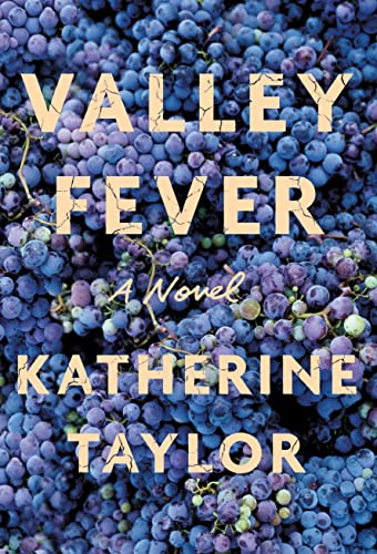 cover image Valley Fever