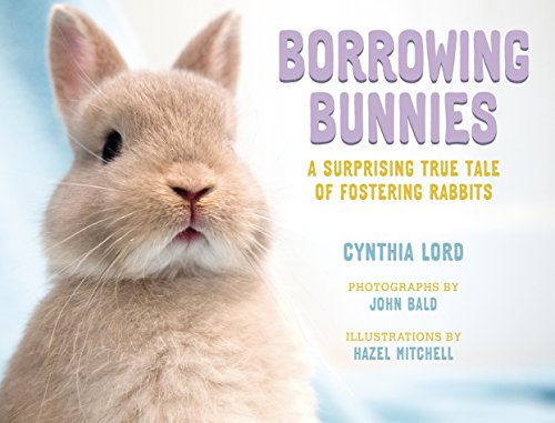 cover image Borrowing Bunnies: A Surprising True Tale of Fostering Rabbits