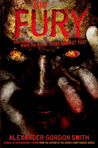 cover image The Fury