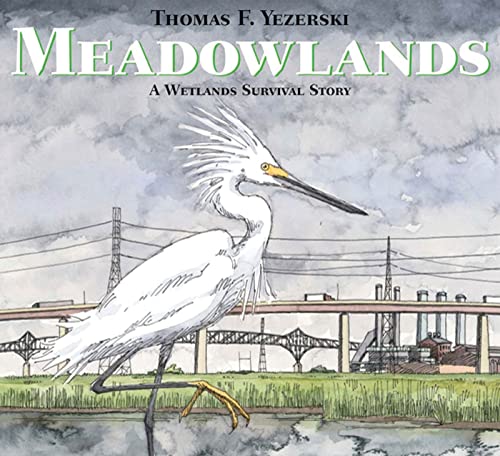 cover image Meadowlands: A Wetlands Survival Story
