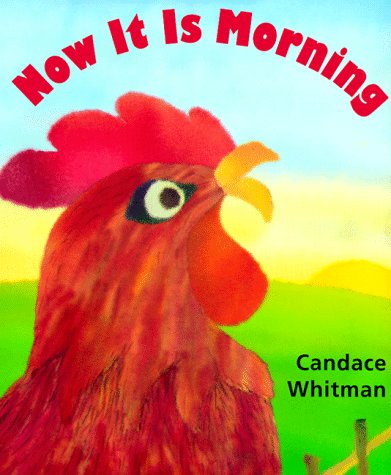 cover image Now It Is Morning