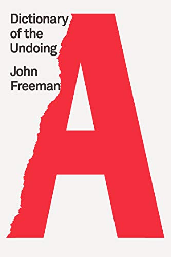 cover image Dictionary of the Undoing 