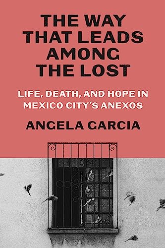 cover image The Way That Leads Among the Lost: Life, Death, and Hope in Mexico City’s Anexos