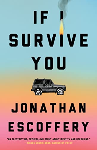 cover image If I Survive You