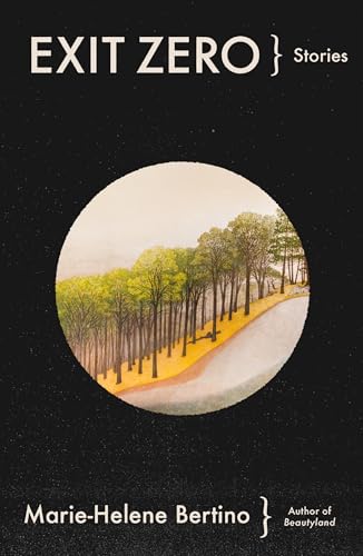 cover image Exit Zero