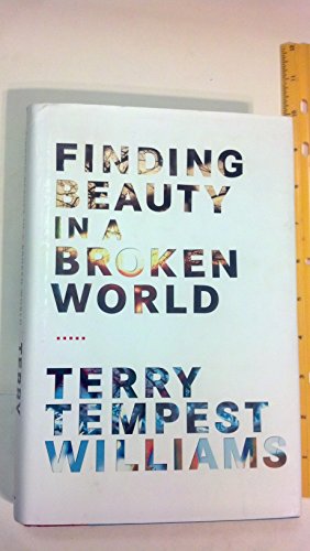 cover image Finding Beauty in a Broken World