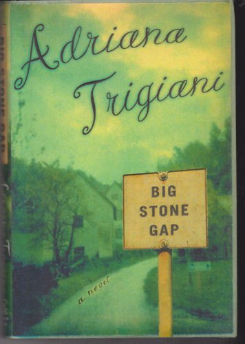 cover image Big Stone Gap