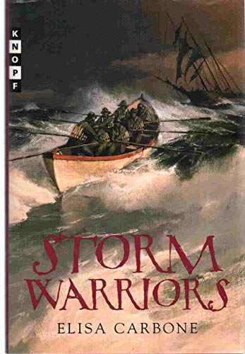 cover image Storm Warriors