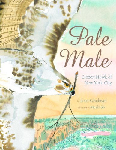 cover image Pale Male: Citizen Hawk of New York