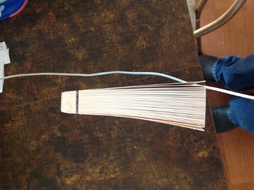 cover image Come and Go, Molly Snow