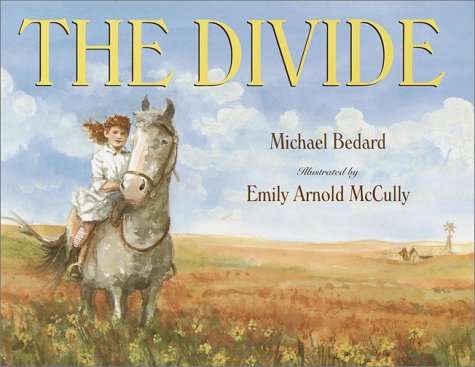 cover image The Divide