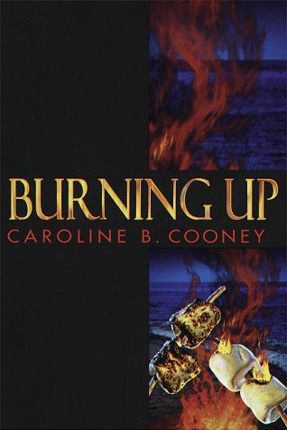 cover image Burning Up