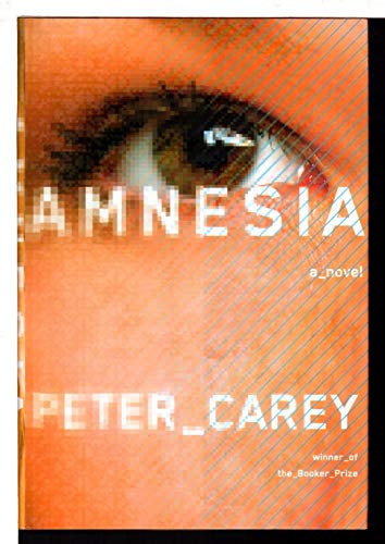 cover image Amnesia