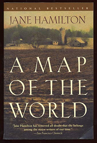 cover image A Map of the World