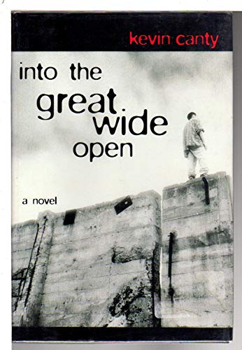 cover image Into the Great Wide Open