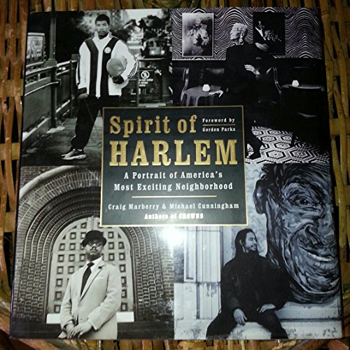 cover image THE SPIRIT OF HARLEM