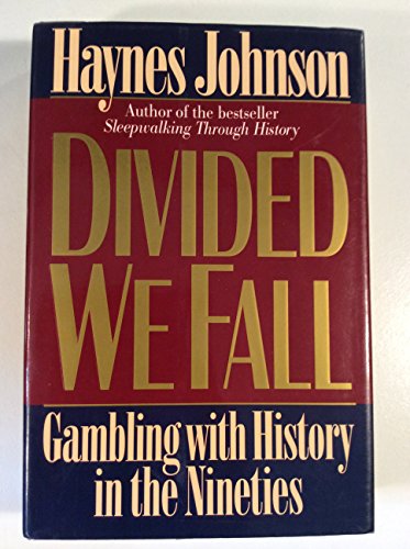 cover image Divided We Fall: Gambling with History in the Nineties