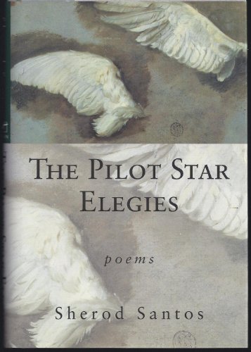 cover image The Pilot Star Elegies