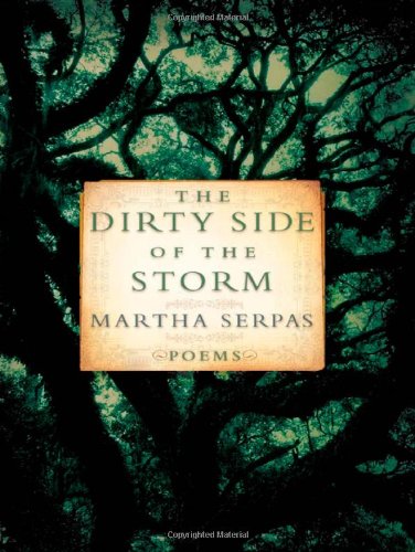 cover image The Dirty Side of the Storm