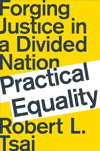 cover image Practical Equality: Forging Justice in a Divided Nation