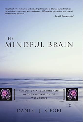 cover image The Mindful Brain: Reflection and Attunement in the Cultivation of Well-Being