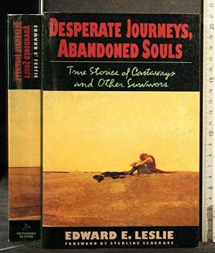 cover image Desperate Journey Panew0395911508