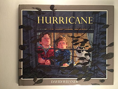 cover image Hurricane