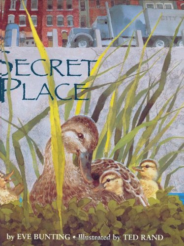 cover image Secret Place
