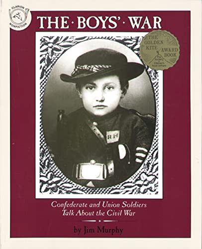 cover image The Boys' War: Confederate and Union Soldiers Talk about the Civil War