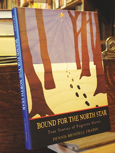 cover image Bound for the North Star: True Stories of Fugitive Slaves