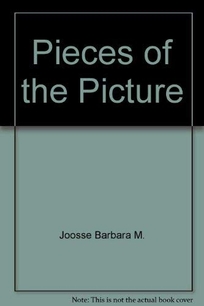 Pieces of the Picture