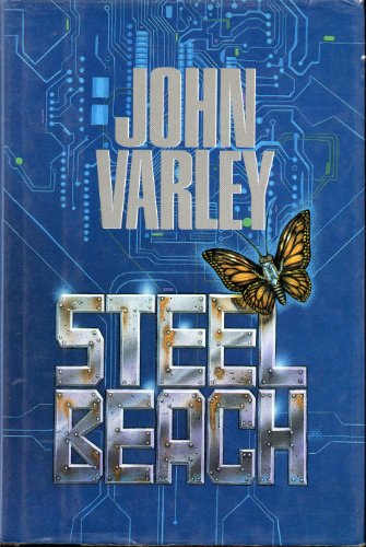 cover image Steel Beach