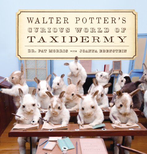 cover image Walter Potter's Curious World of Taxidermy