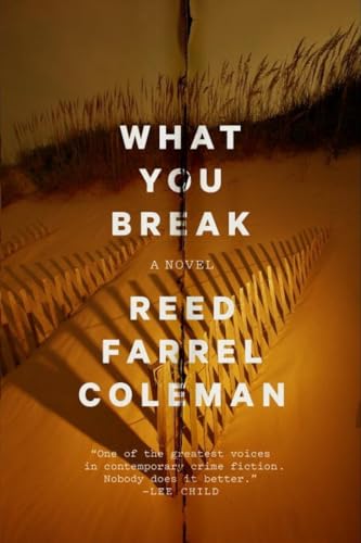 cover image What You Break: A Gus Murphy Novel