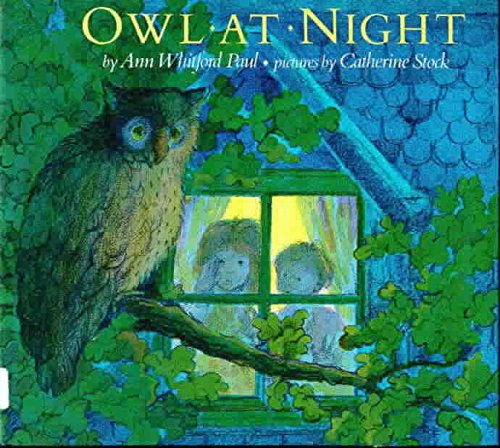 cover image Owl at Night