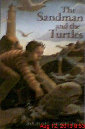 cover image Sandman & the Turtle